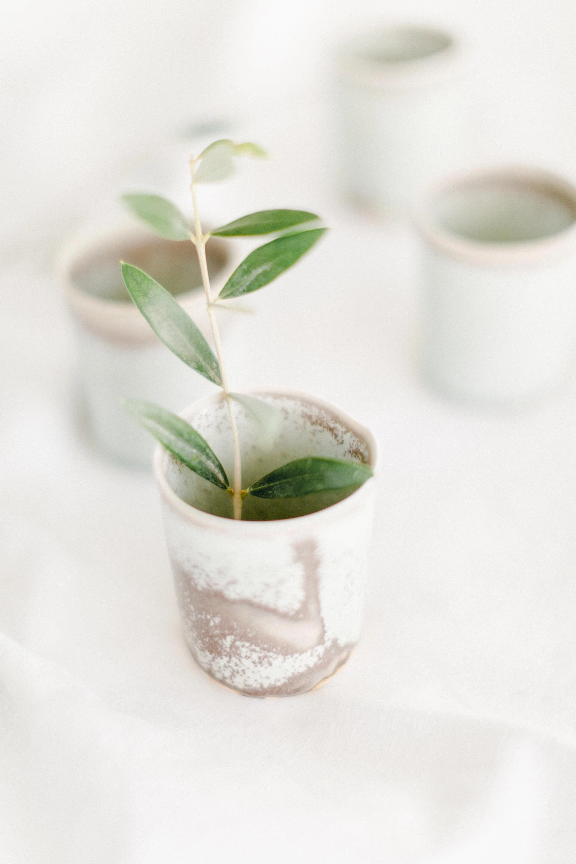 Poterie Hélène Bénéteau